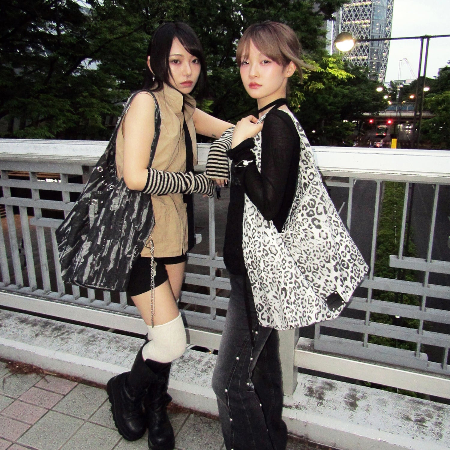 Astra 아스트라_ Leopard