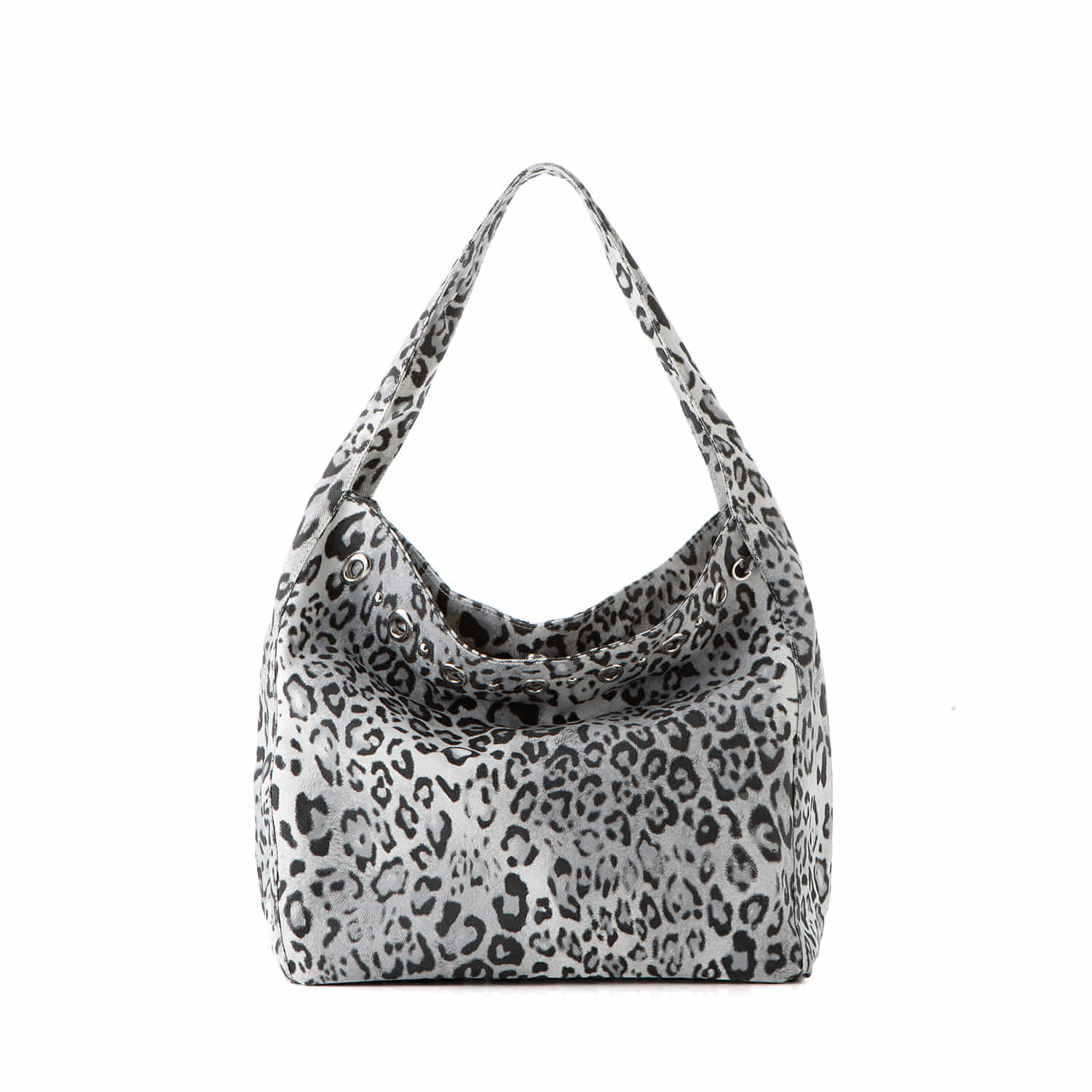 Astra 아스트라_ Zebra