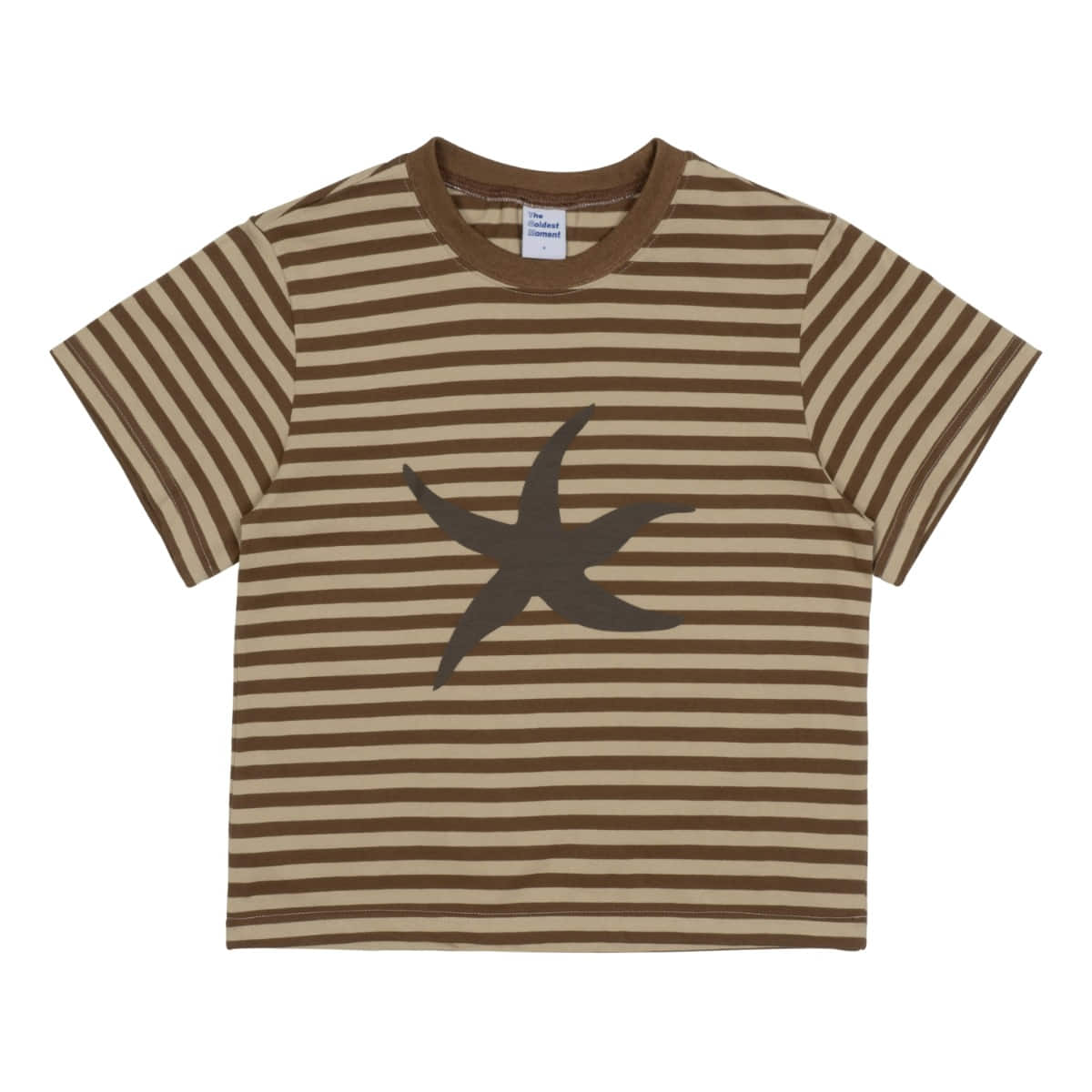 TCM starfish stripe T (brown)