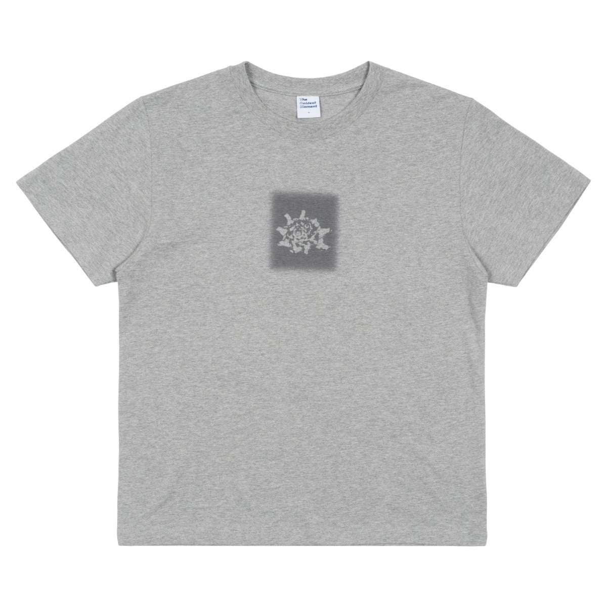 TCM conch T (grey)