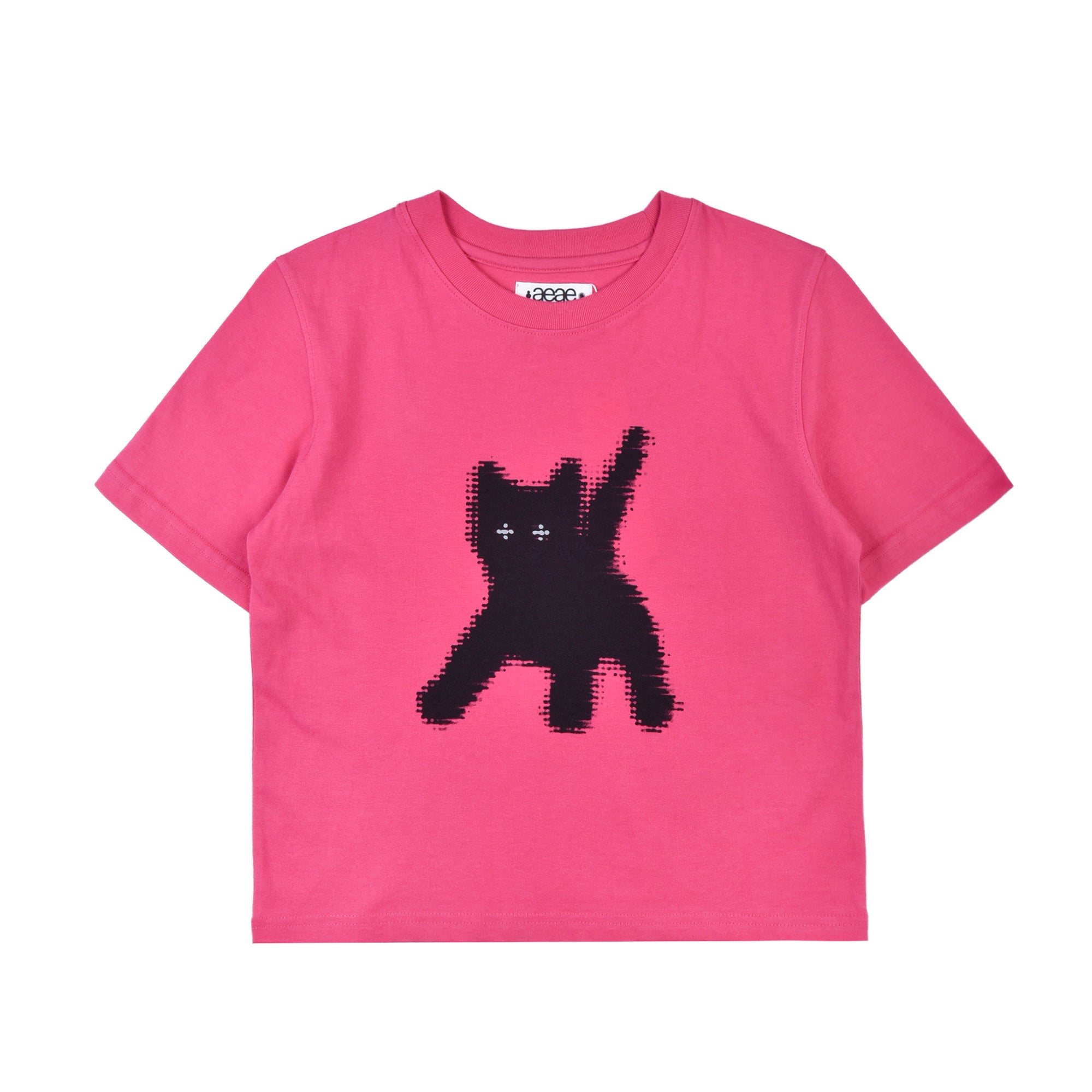 FLASHED CATS EYE CROP T-SHIRTS / 6 Color