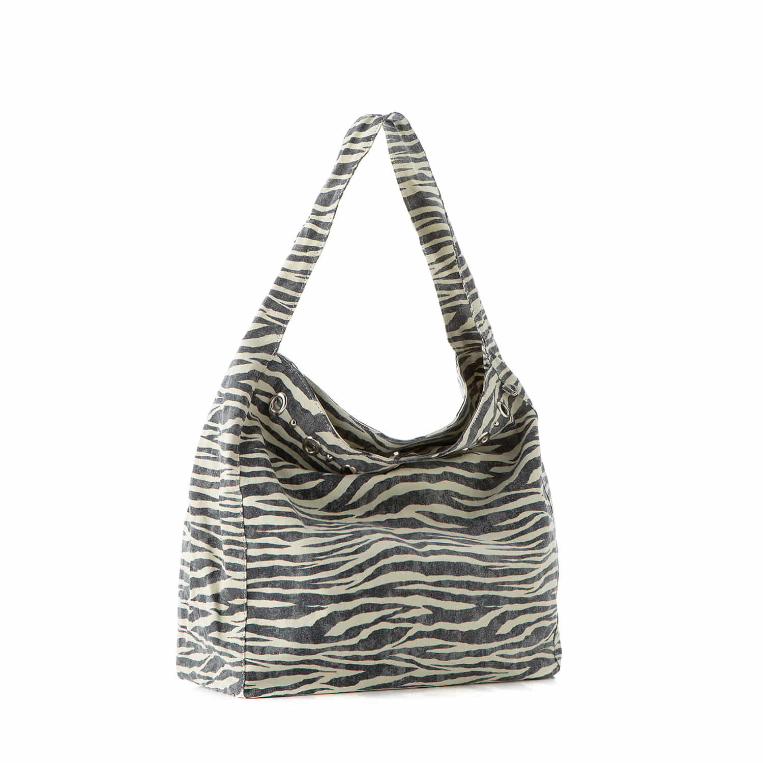 Astra 아스트라_ Zebra