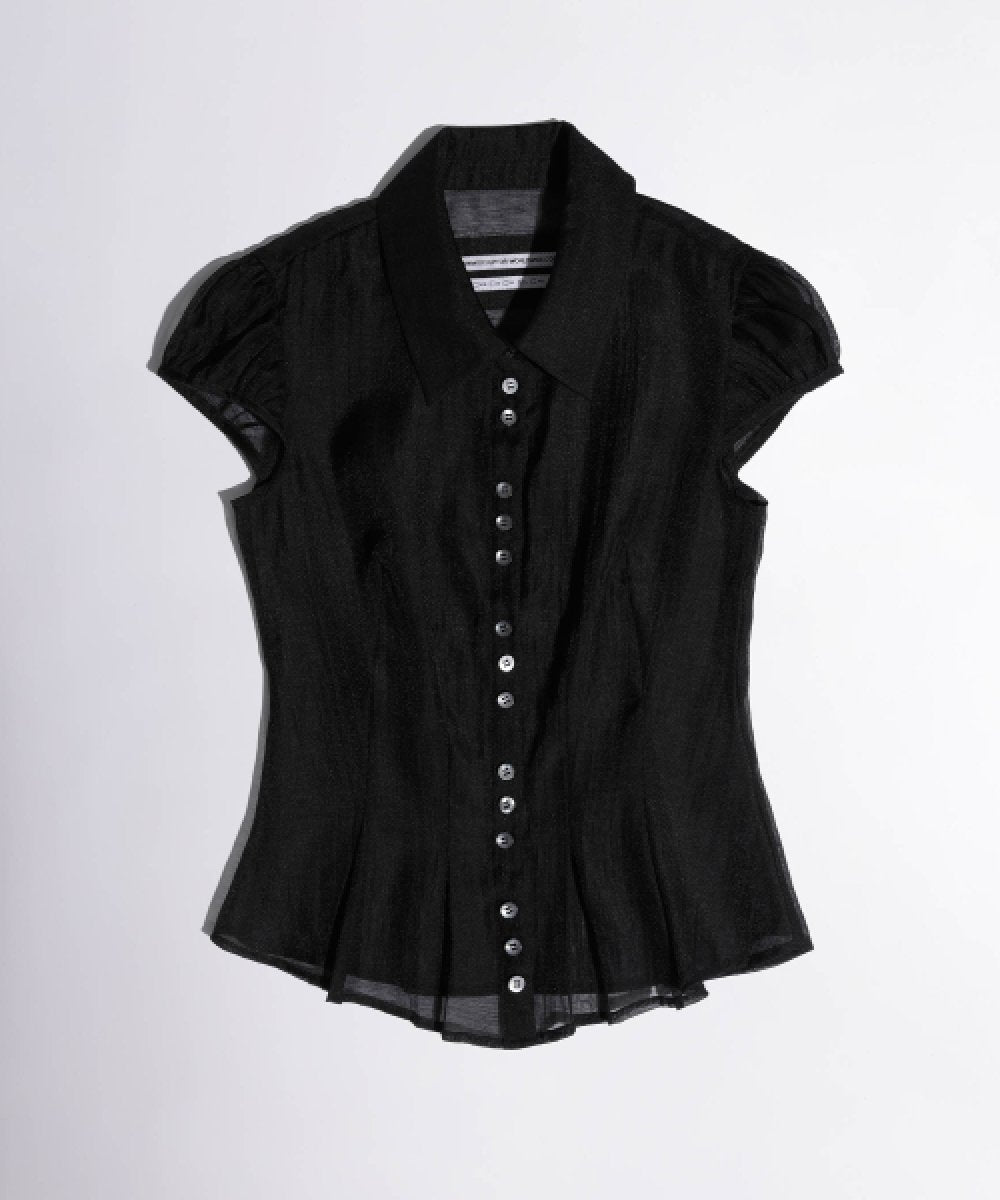 Sheer Pleated Hem Blouse - Black